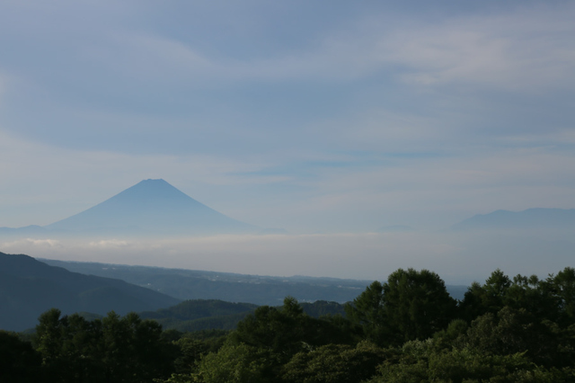 738A8845s1.jpg